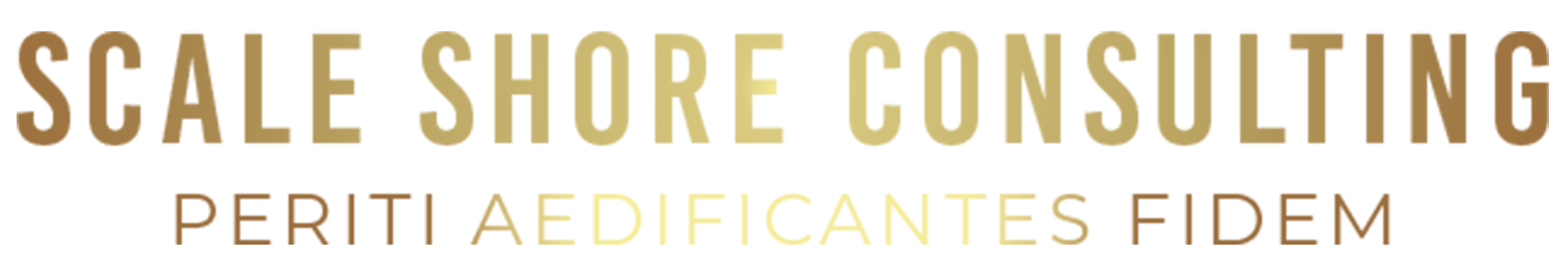 Scaleshore Consulting